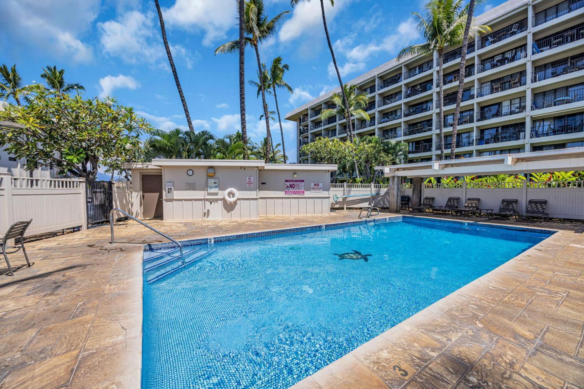 Kihei Akahi C611 Lejlighed Wailea  Eksteriør billede